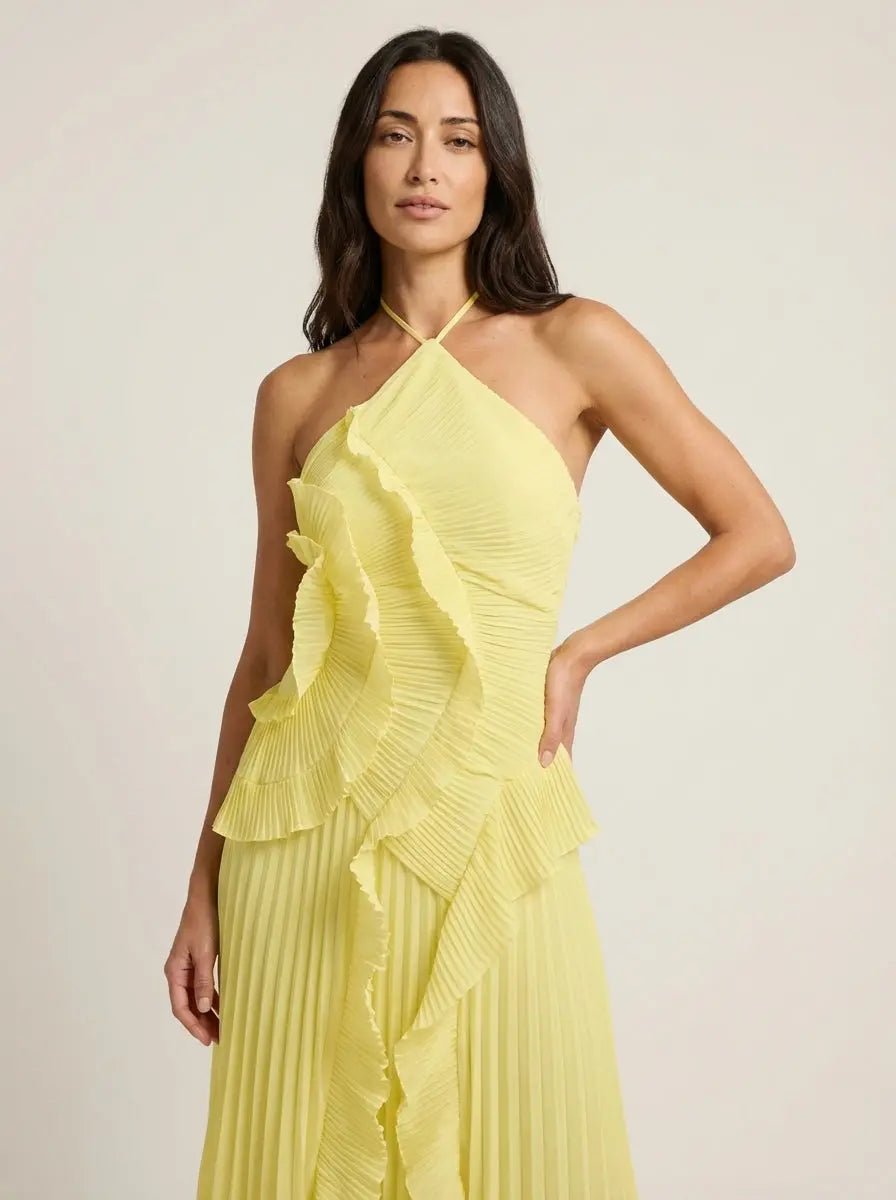 Rosé - Vestido Largo Plisado - Elena Duval